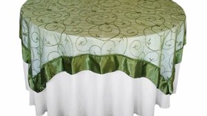 Willow Green Organza Swirl Overlay